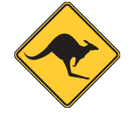 Sydney Skippycoin ICG Sydney Skippycoin ICG
