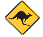 Sydney Skippycoin ICG Sydney Skippycoin ICG